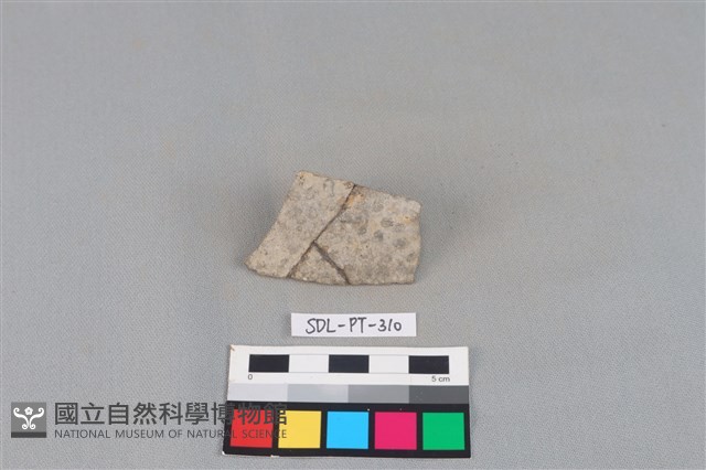 陶片藏品圖，第1張