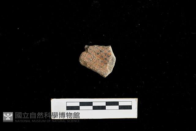 陶片藏品圖，第1張