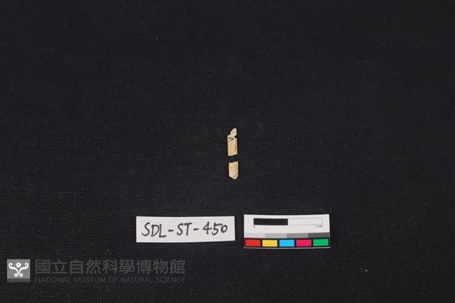 玉飾藏品圖，第1張
