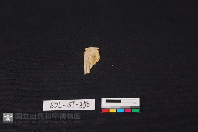 玉飾藏品圖，第1張