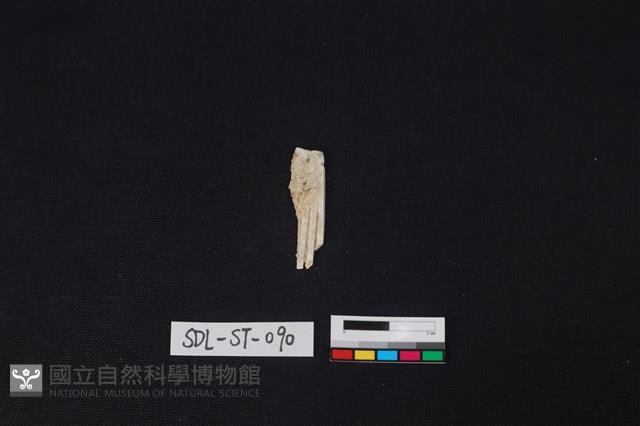 玉飾藏品圖，第1張