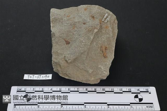 斧鋤形器藏品圖，第1張