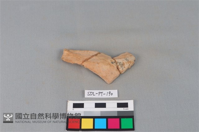 陶片藏品圖，第1張