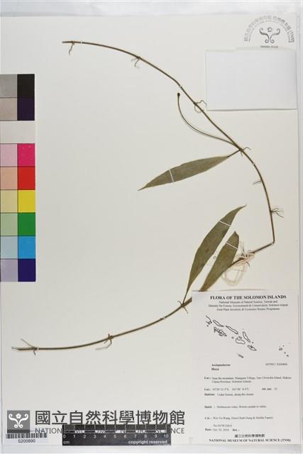 登錄號:S200890藏品圖，第1張