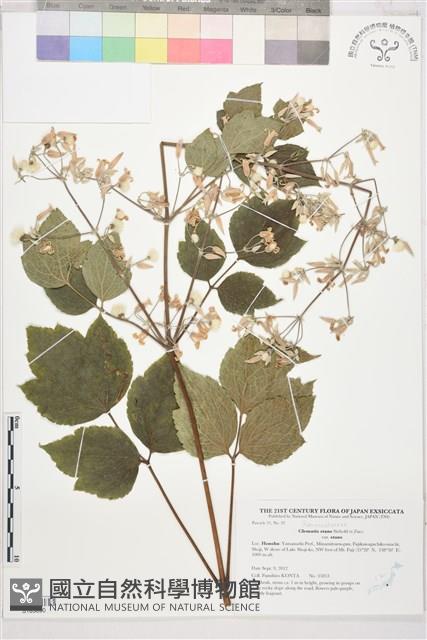 登錄號:S183890藏品圖，第1張