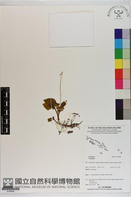 登錄號:S199990藏品圖，第1張