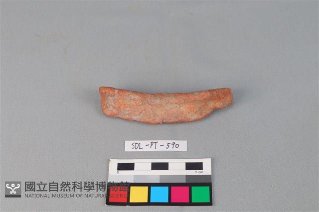 陶網墜藏品圖，第1張