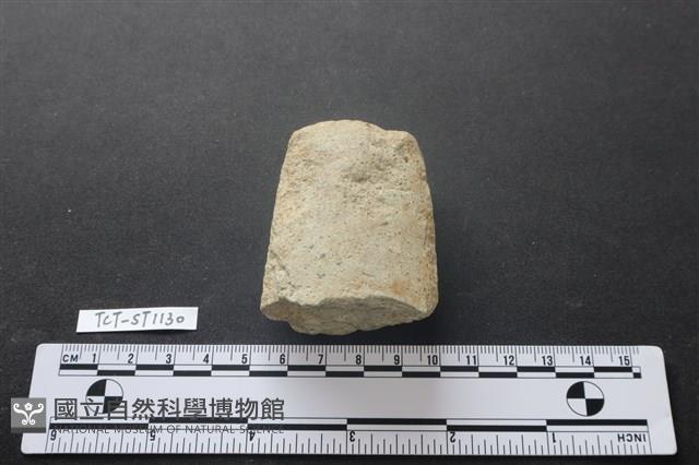 磨製斧鋤形器藏品圖，第1張