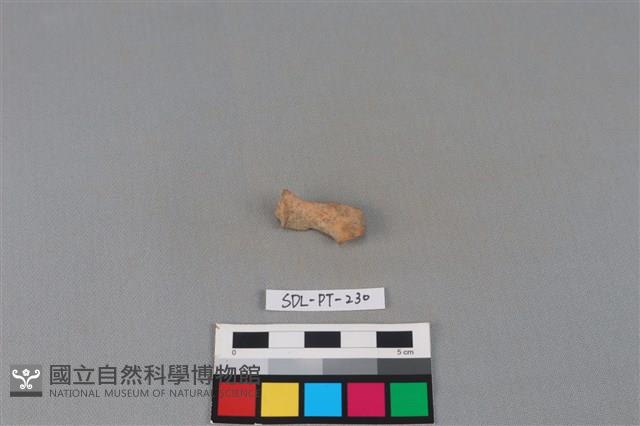 陶片藏品圖，第1張