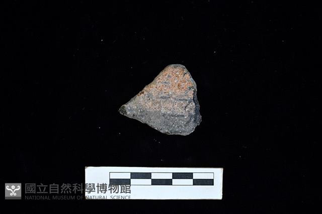 陶片藏品圖，第1張