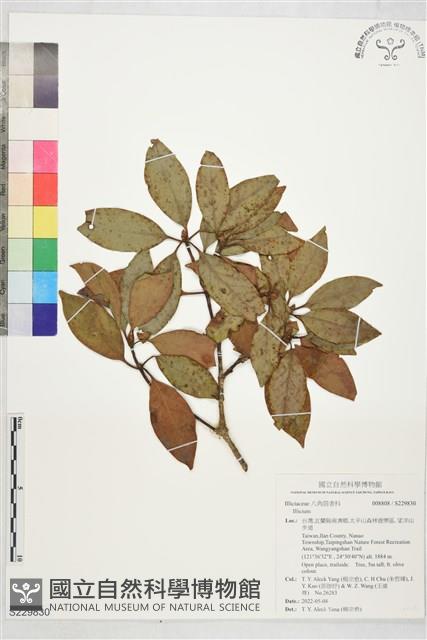 登錄號:S229830藏品圖，第1張