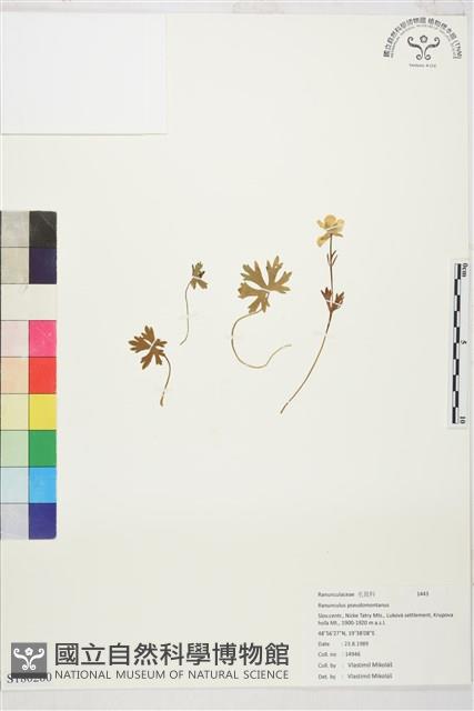 登錄號:S180260藏品圖，第1張