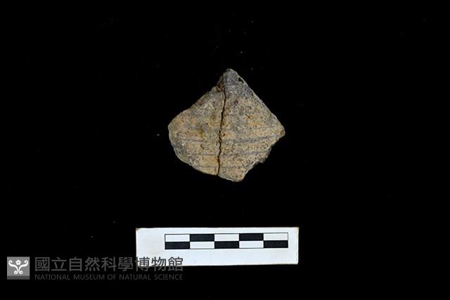 陶片藏品圖，第1張