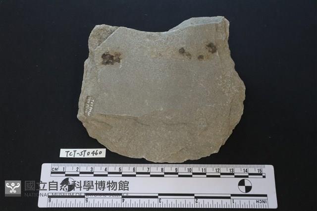 磨製斧鋤形器藏品圖，第1張