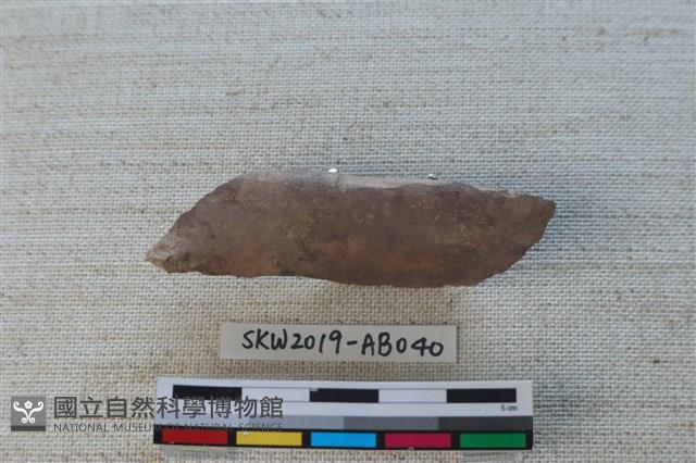 獸骨藏品圖，第1張