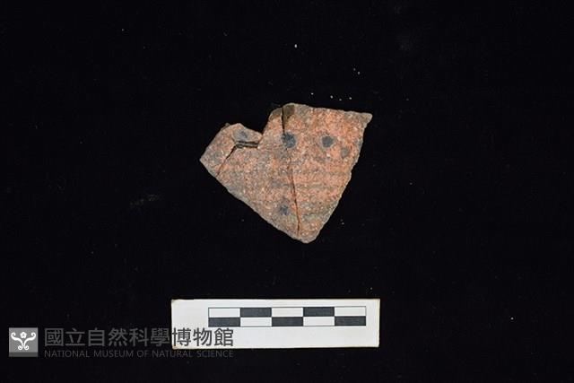 陶片藏品圖，第1張