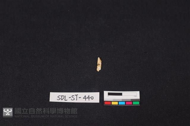 玉飾藏品圖，第1張