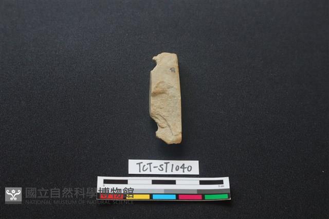 錛鑿形器藏品圖，第1張