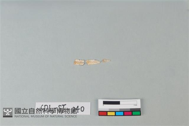 玉飾藏品圖，第1張