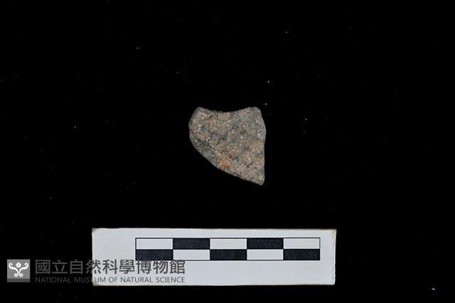 陶片藏品圖，第1張