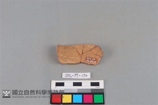 連杯形器藏品圖，第1張