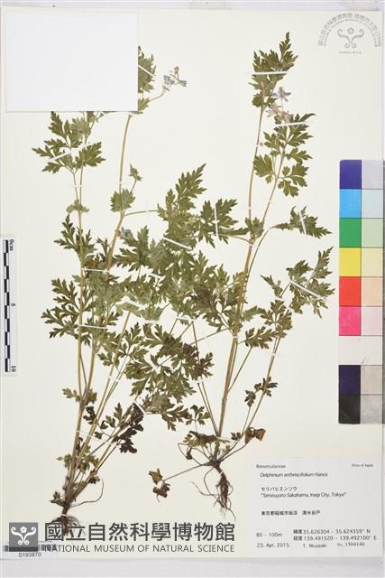 還亮草藏品圖，第1張