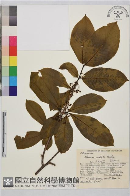 登錄號:S048970藏品圖，第1張