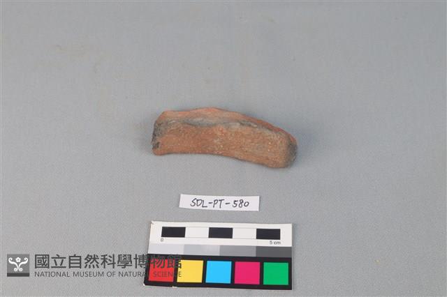 Accession Number:SDL-PT-580 Collection Image, Figure 1, Total 3 Figures