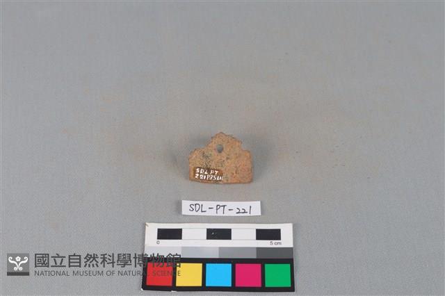 陶片藏品圖，第1張