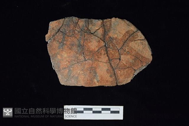 陶片藏品圖，第1張