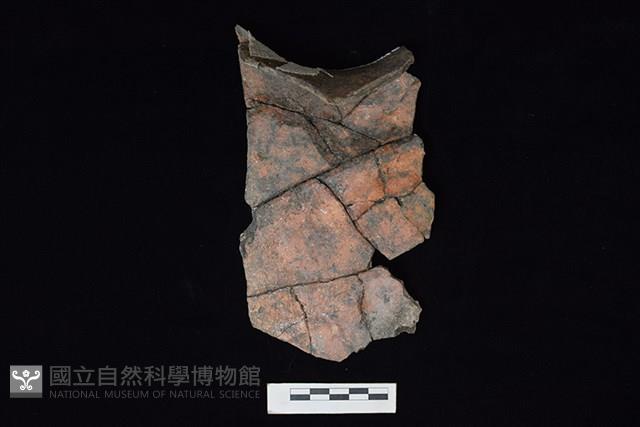 陶罐藏品圖，第1張