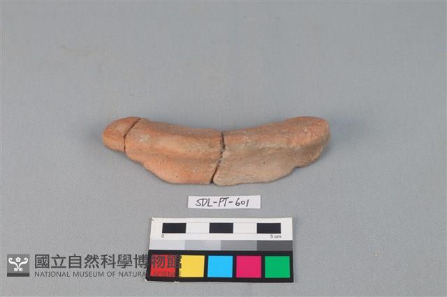 陶網墜藏品圖，第1張