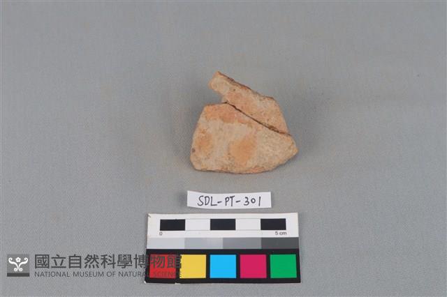 陶片藏品圖，第1張