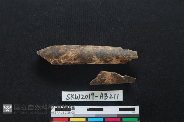 獸骨藏品圖，第1張