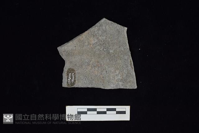 陶片藏品圖，第1張