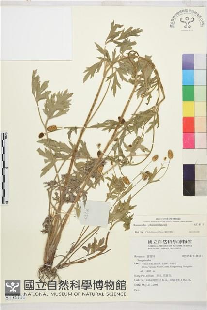 登錄號:S138111藏品圖，第1張