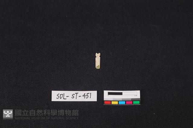 玉飾藏品圖，第1張