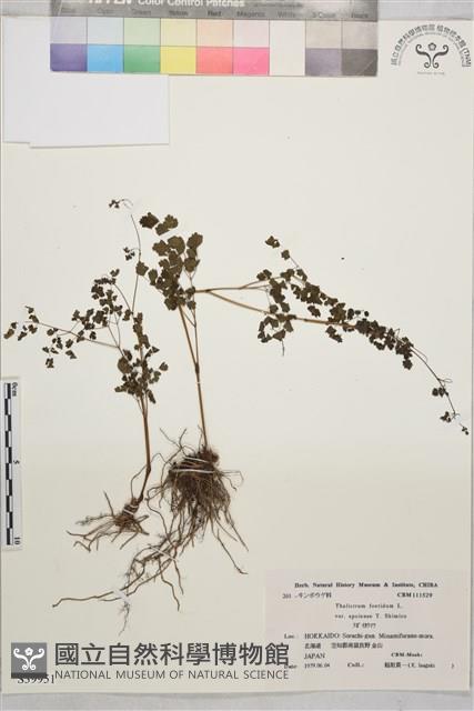 登錄號:S039951藏品圖，第1張