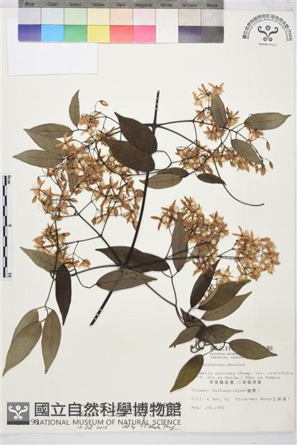 Accession Number:S008291 Collection Image