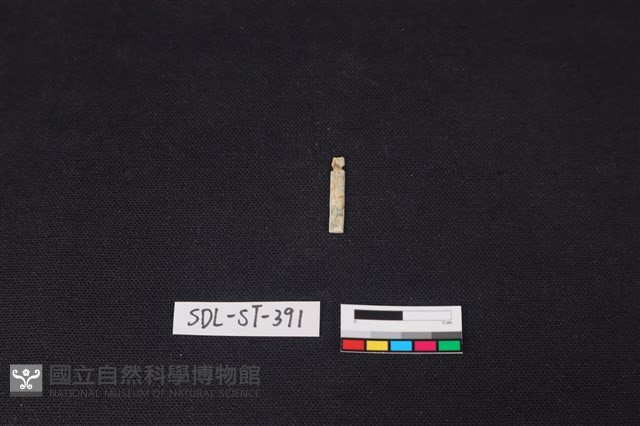 玉飾藏品圖，第1張