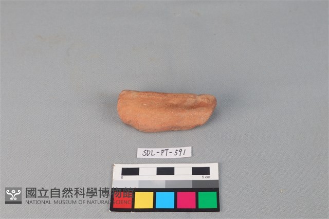 陶網墜藏品圖，第1張