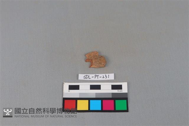 陶片藏品圖，第1張