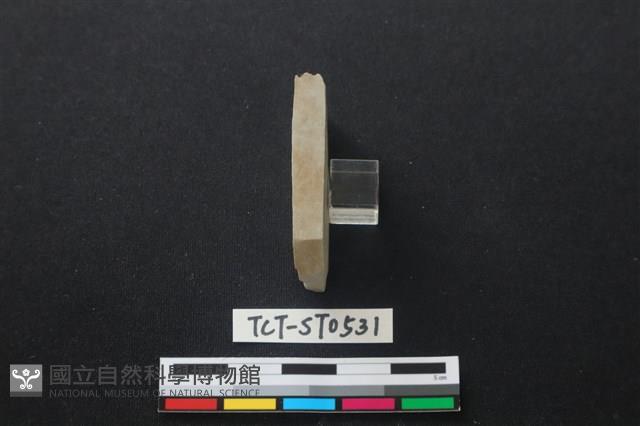 錛鑿形器藏品圖，第1張