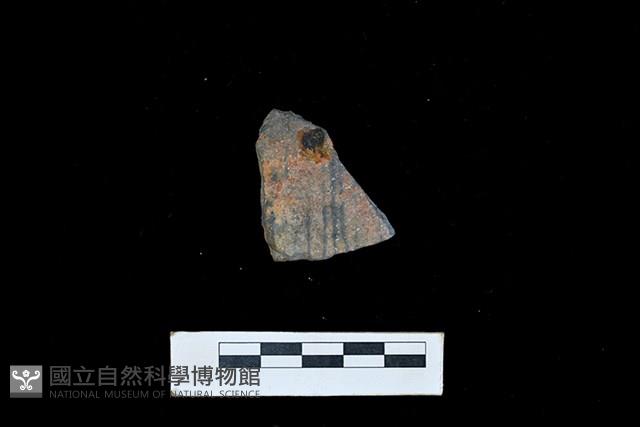 陶片藏品圖，第1張