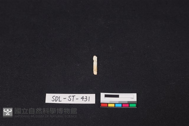 玉飾藏品圖，第1張