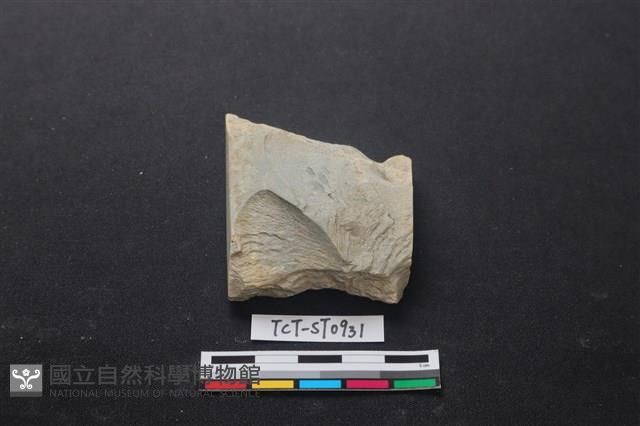 帶加工痕石材藏品圖，第1張