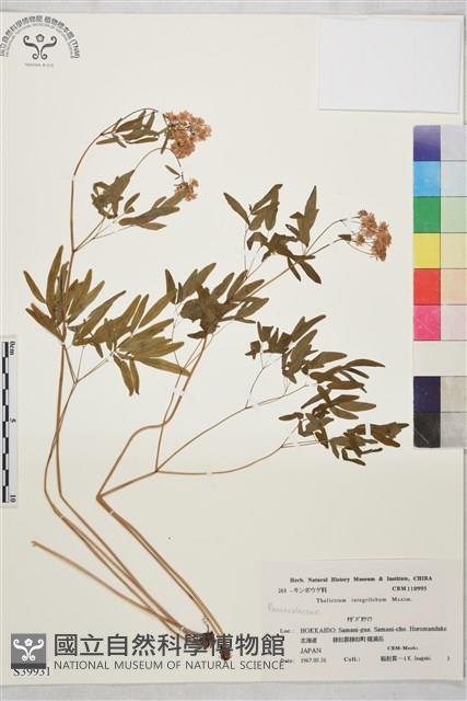 登錄號:S039931藏品圖，第1張