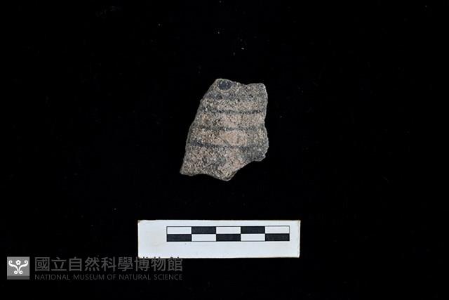 陶片藏品圖，第1張