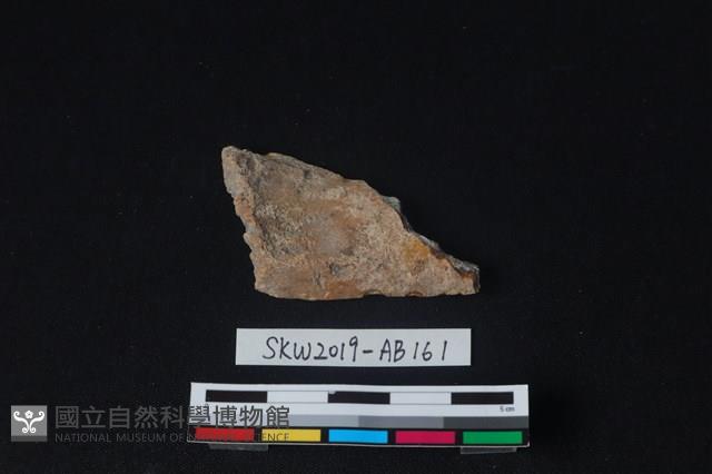 獸骨藏品圖，第1張