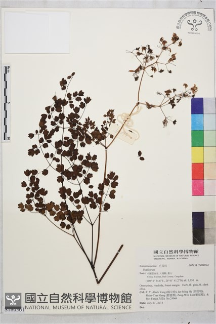 登錄號:S180361藏品圖，第1張